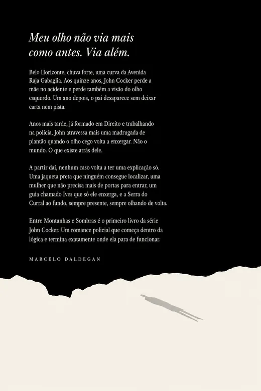 Contracapa com a sinopse